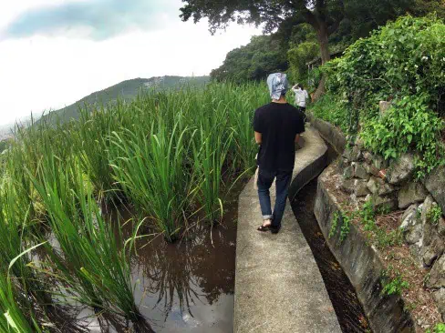 permaculture